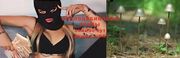 стафф Баксан