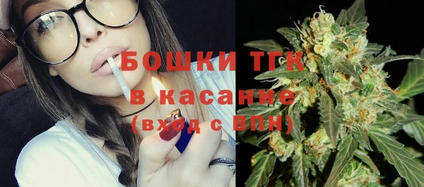 гашик Богородск