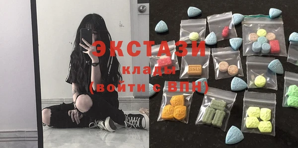 гашик Богородск