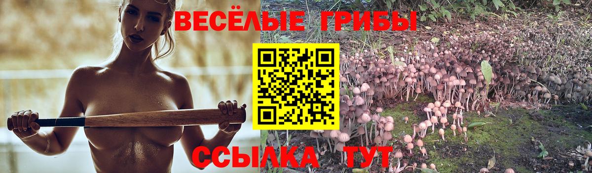 продажа наркотиков  Галлюциногенные грибы GOLDEN TEACHER  Вход с VPN  Псилоцибиновые грибы мухоморы  Улан-Удэ 