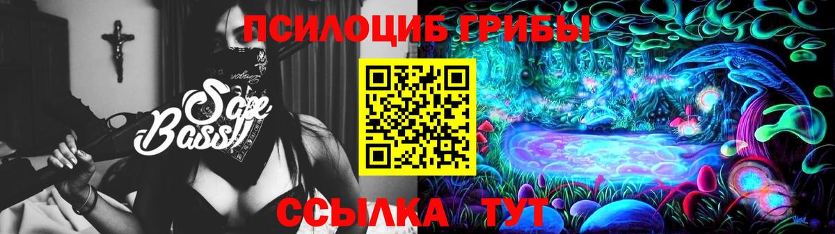 Галлюциногенные грибы Psilocybine cubensis Улан-Удэ