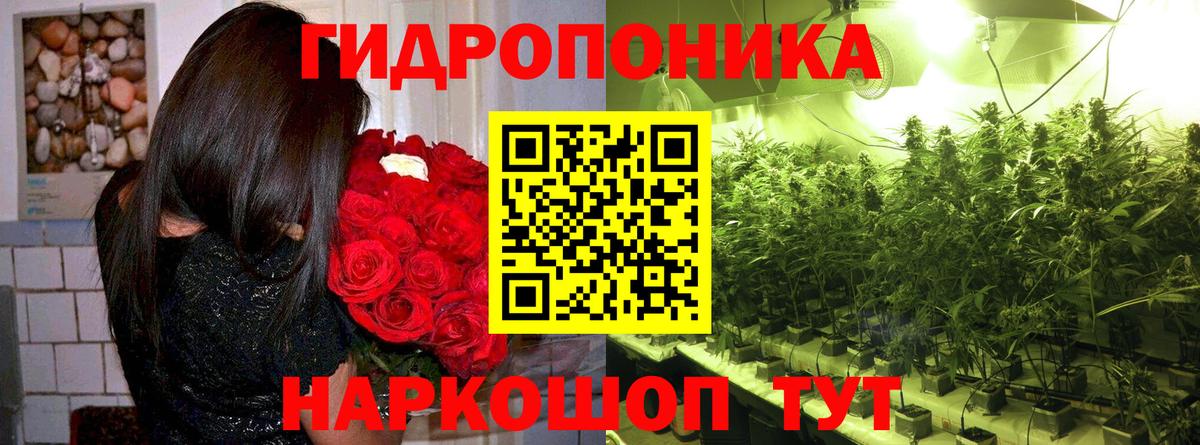 Канабис Amnesia Улан-Удэ